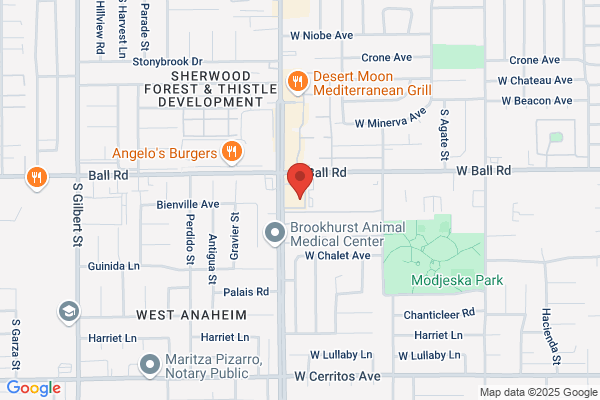 Omni Safe Insurance Anaheim