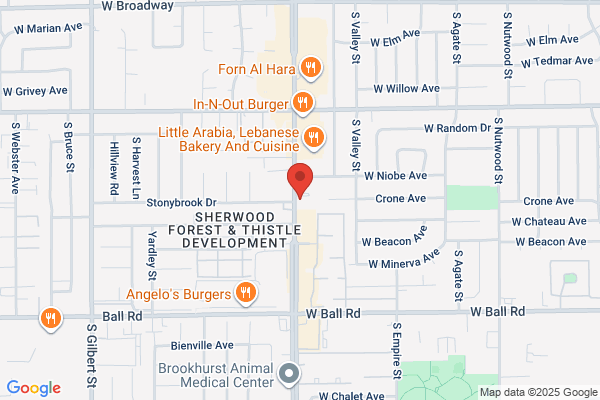 Law Offices of Y Thomas Alkam
