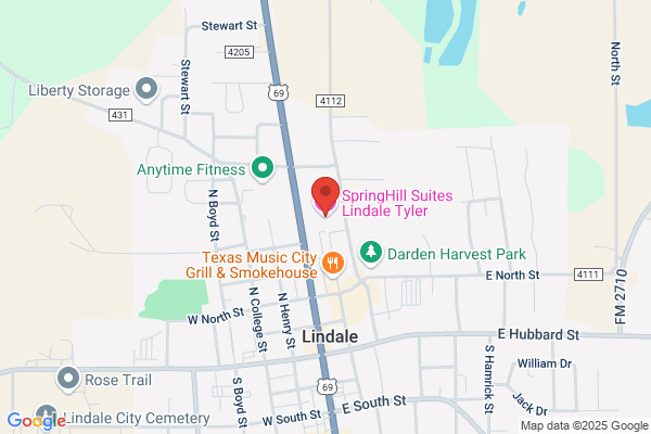 SpringHill Suites by Marriott Lindale