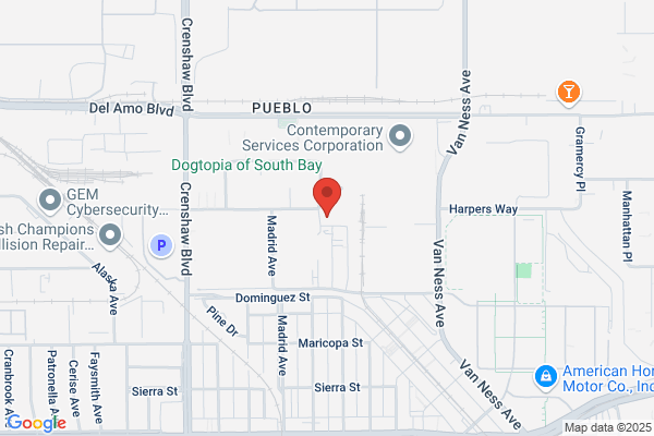 Napolex America Inc