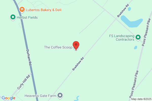 THE COFFEE SCOOP LLC