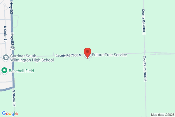 Future Landscaping & Tree Service