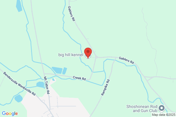 Big Hill Kennel