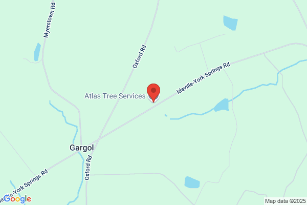Atlas Tree Service