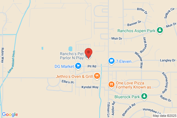Pizza Factory of Gardnerville