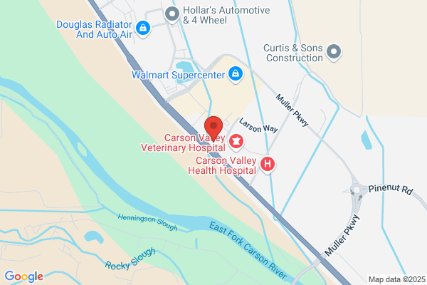 Carson  Valley Oral Surgery