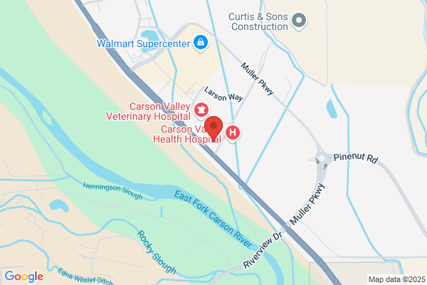 Carson Valley Pulmonary