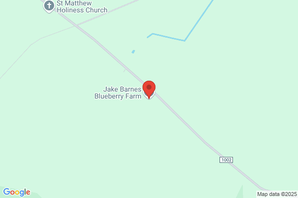 Barnes Wayne Blueberry Farm