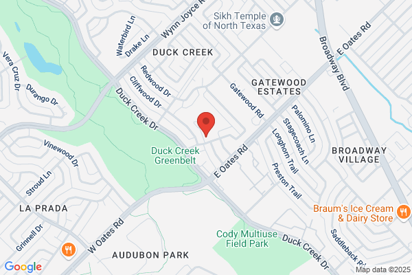 Ray's Autoglass Rock Chip Repair