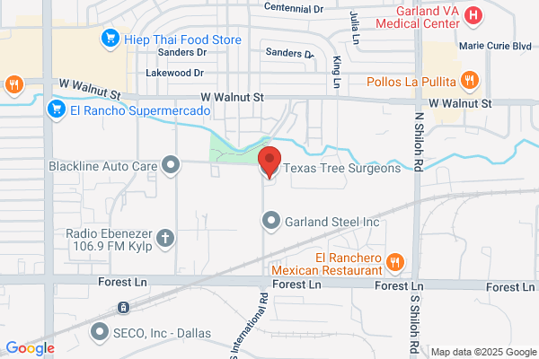Texas Tree Surgeons