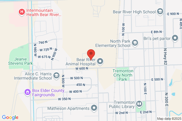 Bear River Mental Health Services
