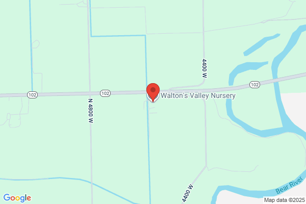 Walton's Valley Nursery