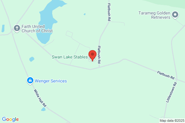 Swan Lake Arabians