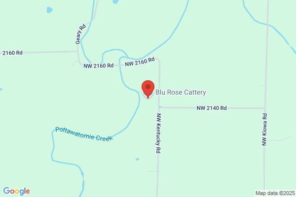 Blu Rose Cattery