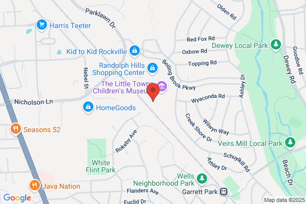 Parts Automotive Inc