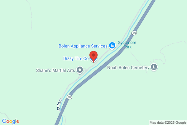 Dizzy Tire Company Inc