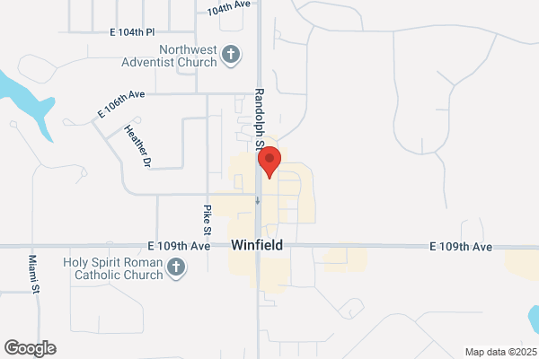 LEVIN TIRE CENTER OF WINFIELD