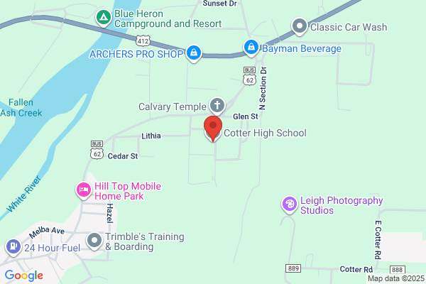 Cotter High School