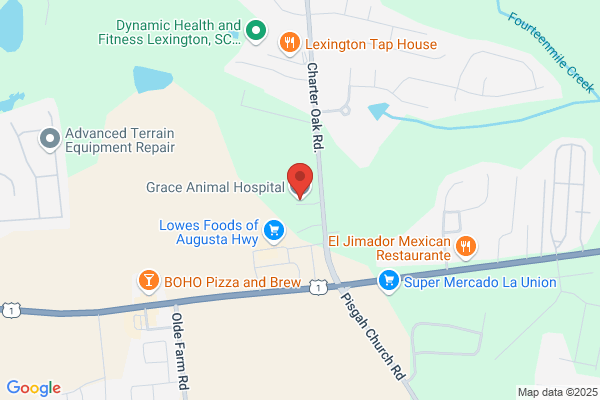 Grace Animal Hospital