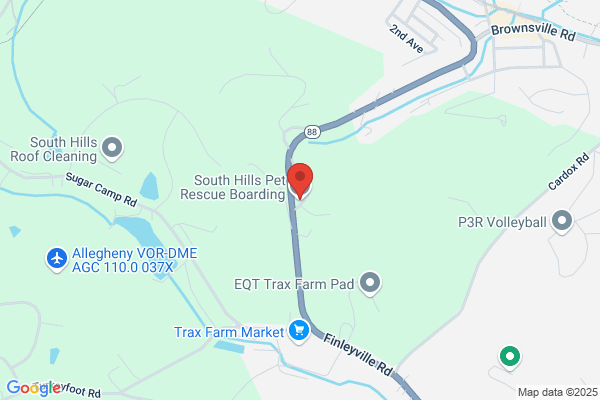 South Hills Pet Resort