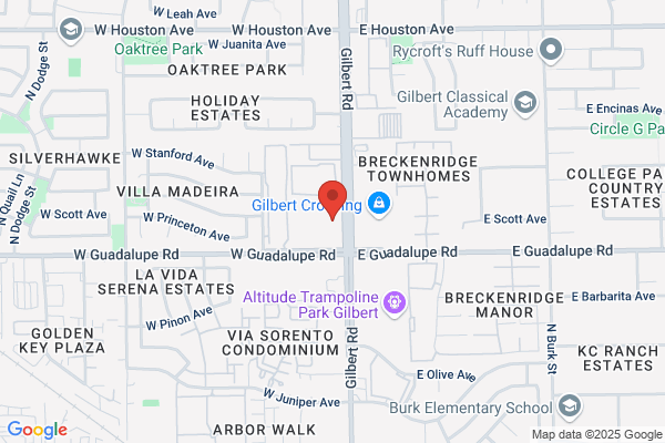 Gilbert Guns & Pawn