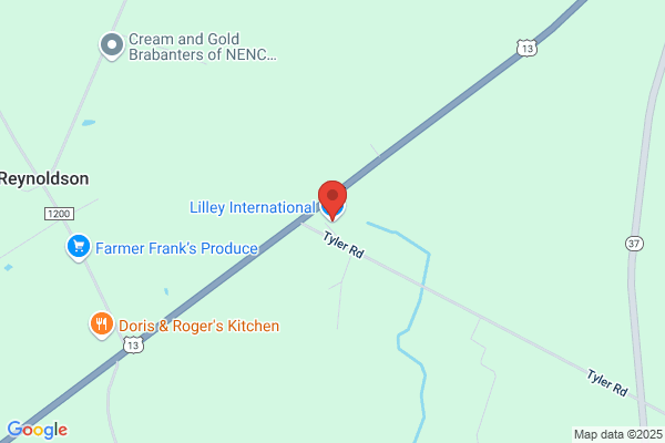 Lilley International Inc