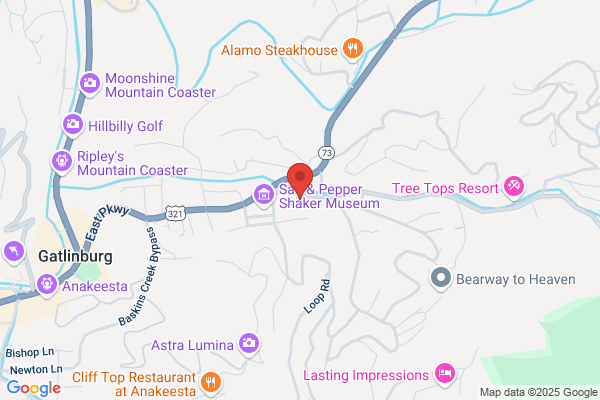 Roaring Fork Motel & Cottages