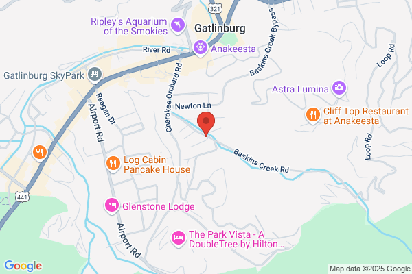 Gatlinburg Cabins Online Llc