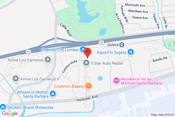 Biopac Systems Inc