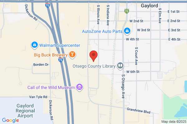 Michigan Insurance Service Agency Inc
