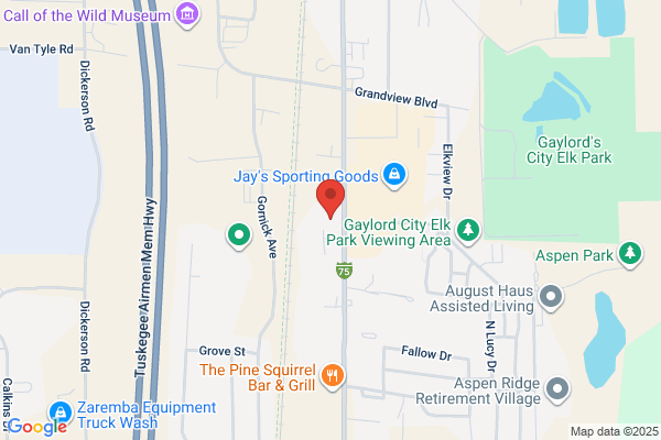 Lutheran Child & Family Services of Michigan