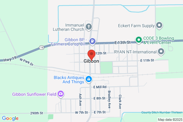 Gibbon City of