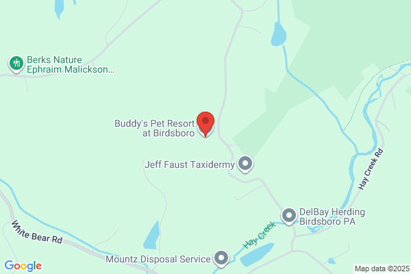 Buddy's Pet Resort
