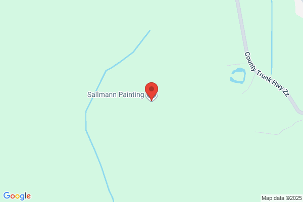 Sallmann Painting Llc