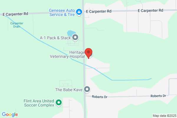 Boggs Gregory L DVM