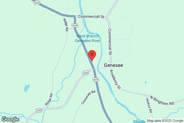 Genesee Hardware & Building Supply Inc