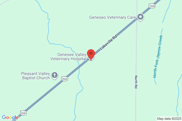 Genesee Valley Veterinary Hospital