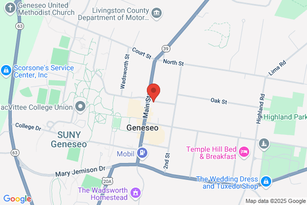 Geneseo Business Servs