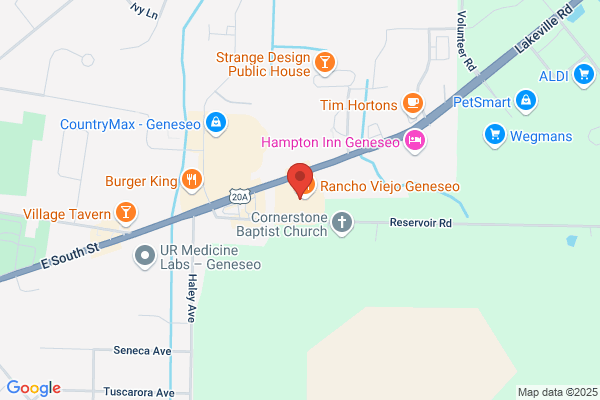 Geneseo Theatres