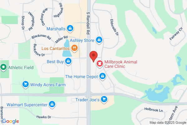 Boston Market - CLOSED
