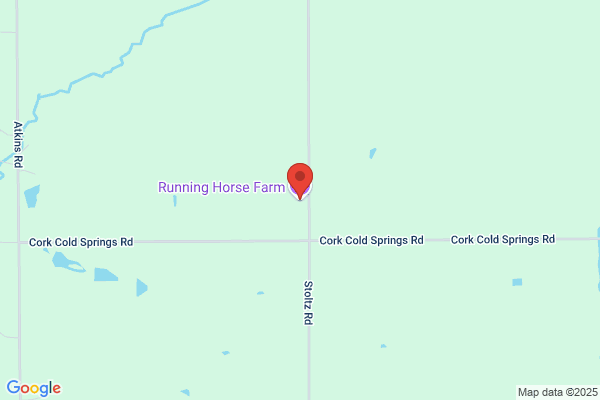 Spoilyourhorse.Com