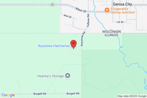 Keystone Hatcheries