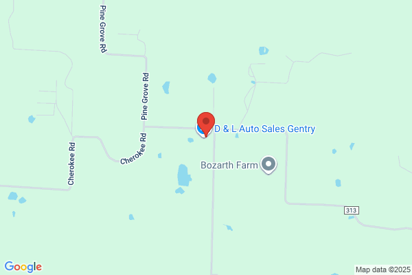 D & L Auto Sales