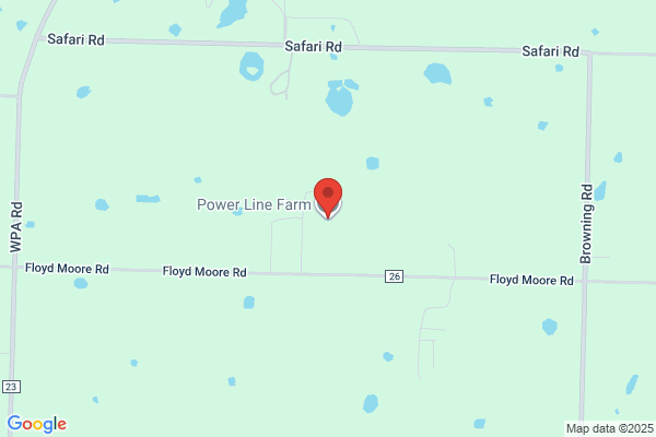 Sulphur Springs Lime & Fertilizer Co