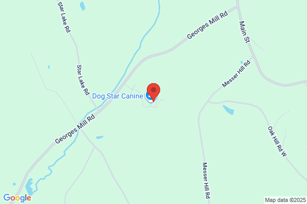 Dog Star Canine