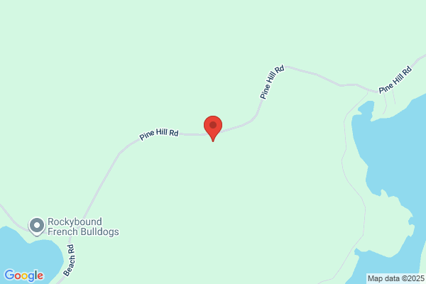 Pennyroyal Hill Land Surveying & Forestry
