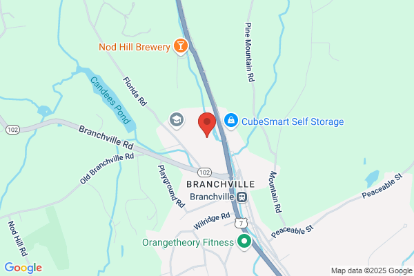Brandstrom Instruments Inc