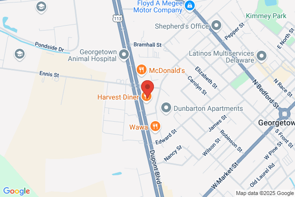 Advance Auto Parts