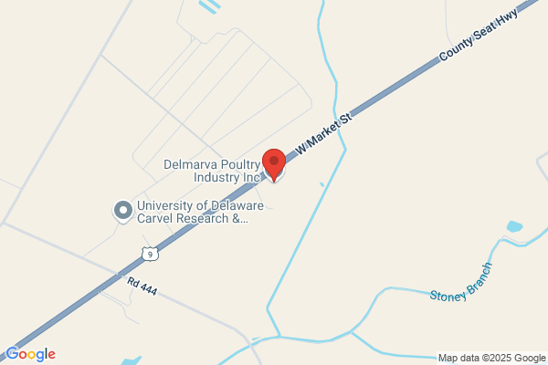 Delmarva Poultry Industry Inc
