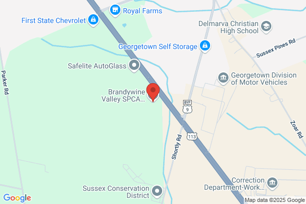 Georgetown Shelter & Animal Health Center